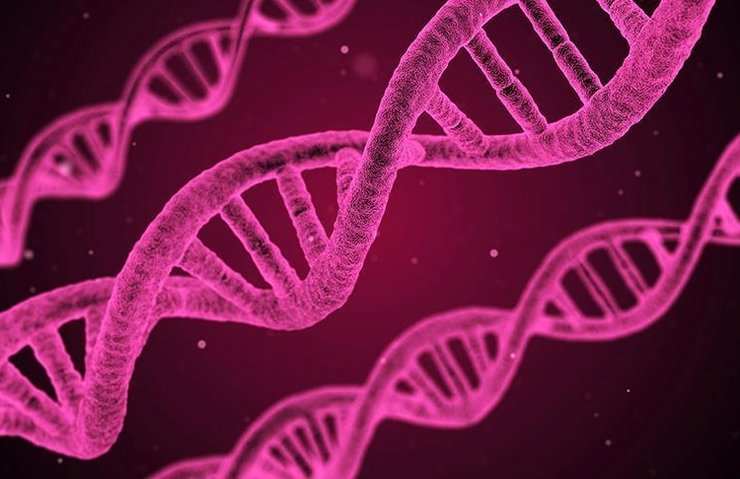 HÜCRELERDE DNA’NIN YENİ BİR YAPISI KEŞFEDİLDİ