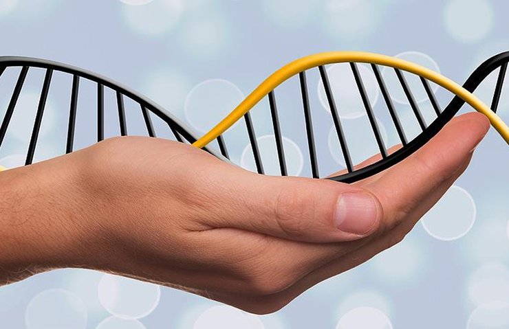 DNA ROBOTLARININ KONTROLÜ İÇİN YENİ SİSTEM GELİŞTİRİLDİ