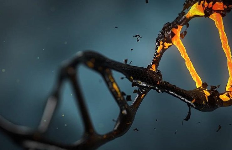 KANSER HÜCRELERİNİN DNA’LARI ’ALTININ ÇEKİM GÜCÜNE KAPILIYOR’