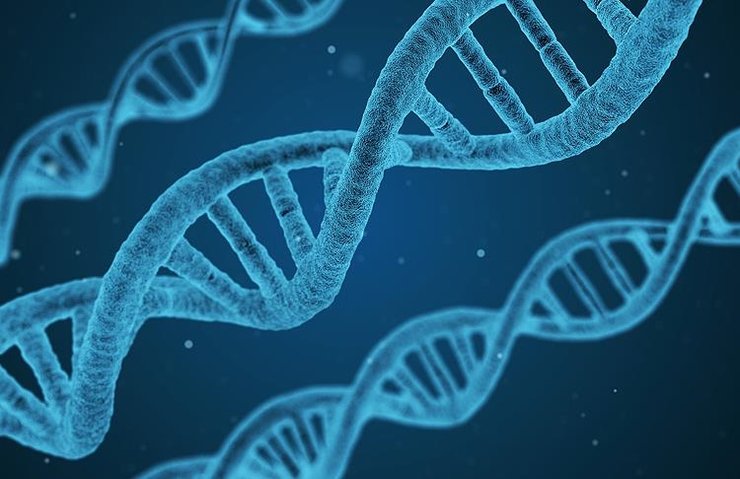 TÜRK BİLİM İNSANLARI NEOLİTİK DÖNEMİN DNA ŞİFRELERİNİ ÇÖZECEK