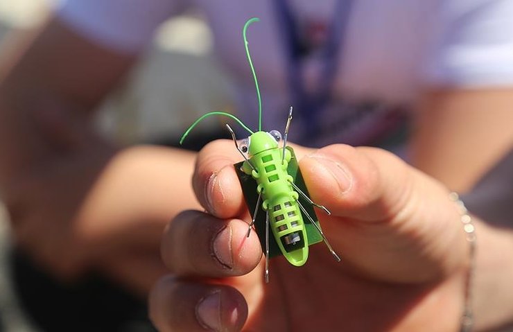 Robot cırcır böceği' ile alternatif enerjiyi anlatıyorlar
